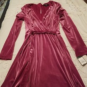 Like velvet, pink long sleeve dress.